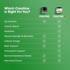 Optimum Nutrition Creatina Micronizada Monohidrato en Polvo, Limonada de Arándanos, 60 Porciones