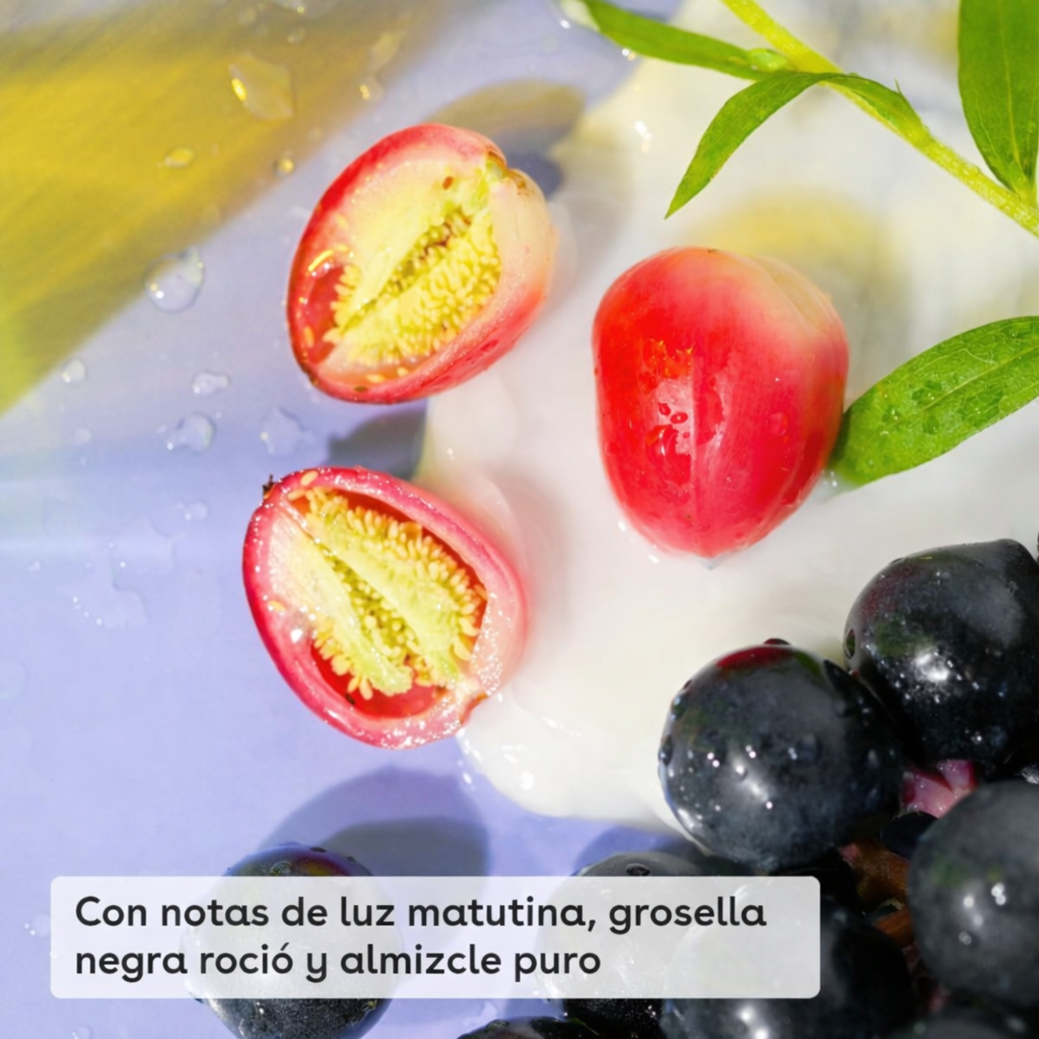 eos Crema de manos Shea Better Fresca y Acogedora - Loción de manos | Hidratación instantánea + protección duradera | 2.5 onzas