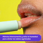 eos Barras de bálsamo labial Menta Dulce Paquete de 2, 100% naturales y orgánicos, hidratación durante todo el día, recomendado por dermatólogos, 0.14 onzas cada uno