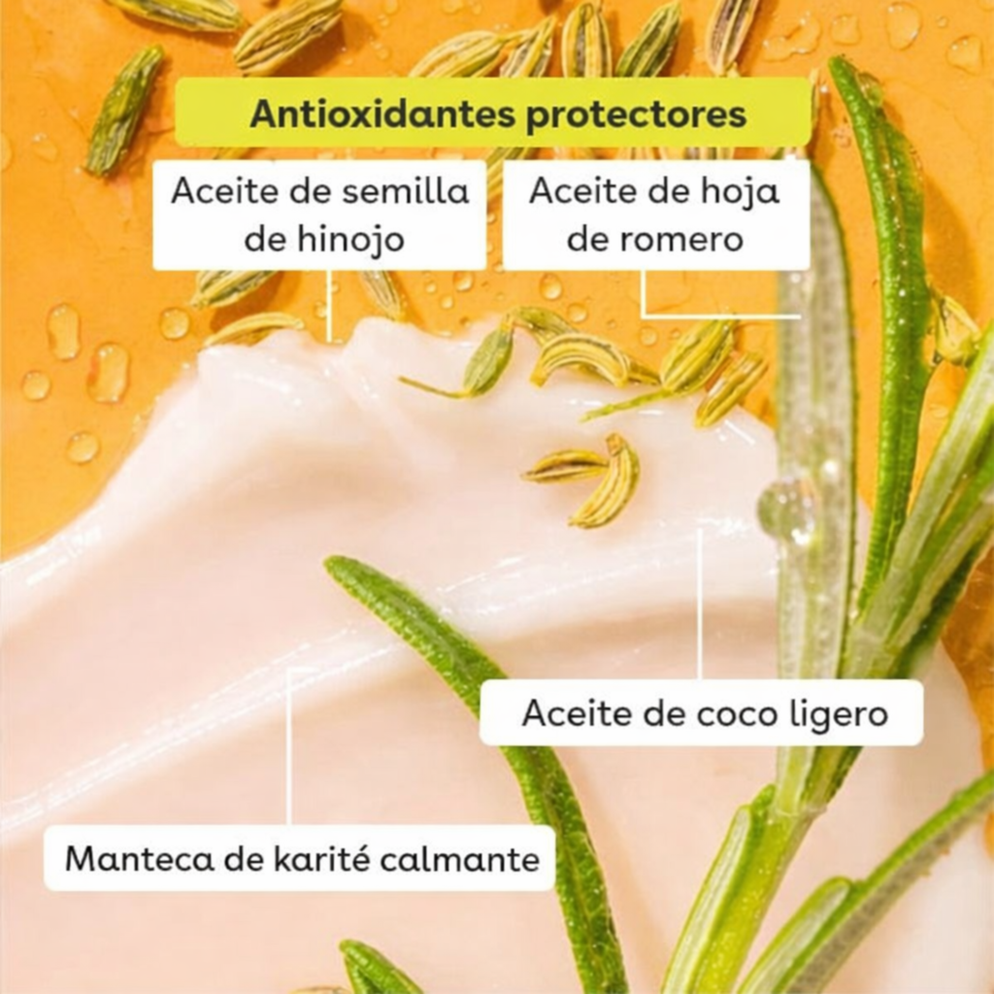 eos Bálsamo labial Vainilla Paquete de 2, 100% natural y orgánico, bálsamo labial totalmente natural, hidratación durante todo el día, recomendado por dermatólogos, 0.14 onzas cada uno