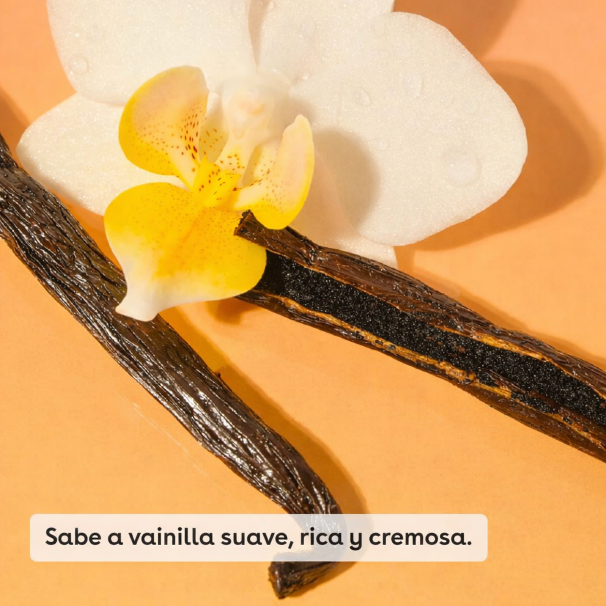 eos Bálsamo labial Vainilla Paquete de 2, 100% natural y orgánico, bálsamo labial totalmente natural, hidratación durante todo el día, recomendado por dermatólogos, 0.14 onzas cada uno