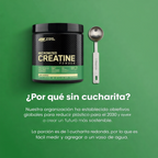 Optimum Nutrition Creatina Micronizada Monohidrato en Polvo, Sin Sabor, 60 Porciones