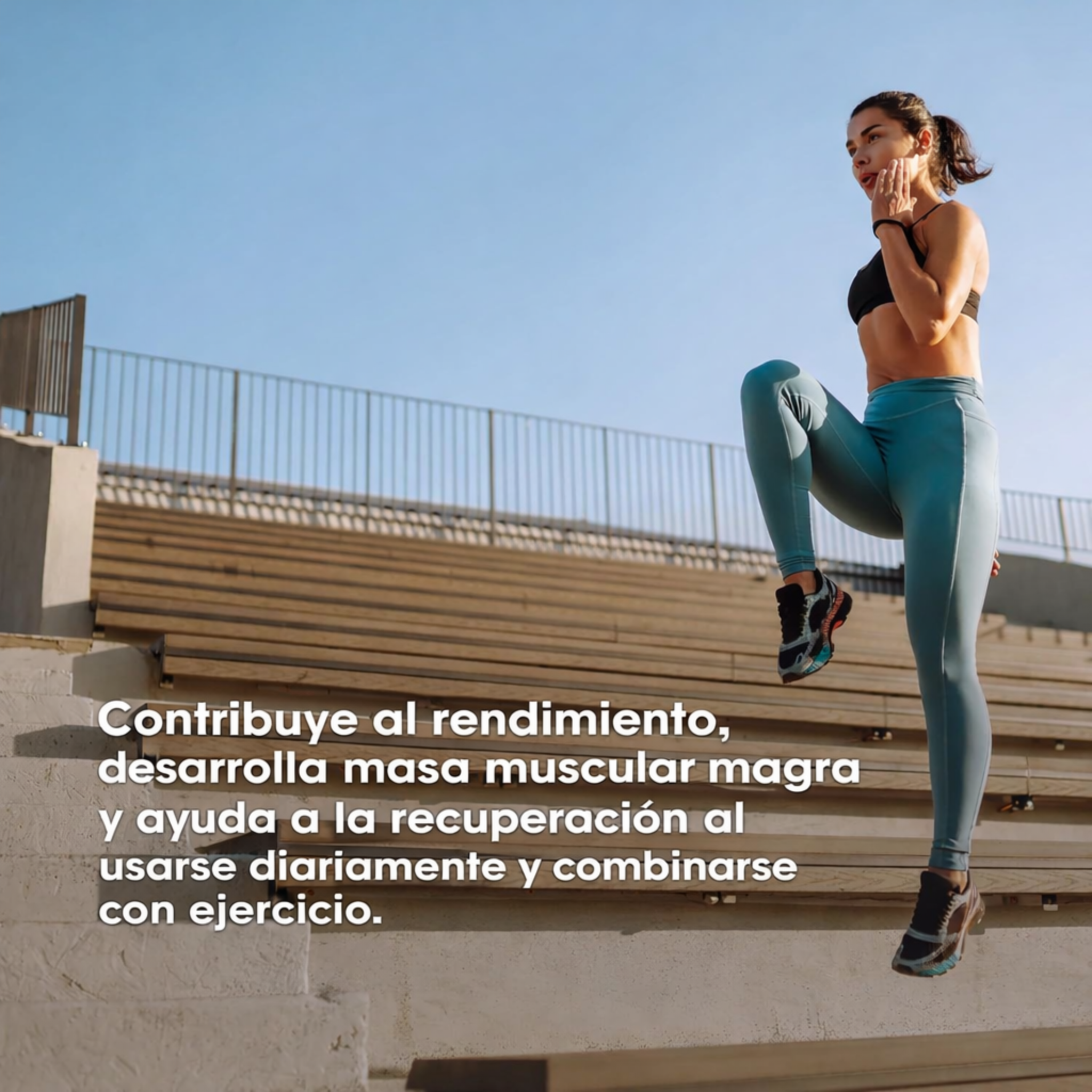 Optimum Nutrition Creatina Micronizada Monohidrato en Polvo, Limonada de Arándanos, 60 Porciones